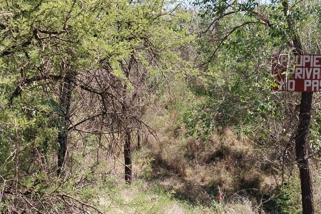 IMG_20251125_10542485