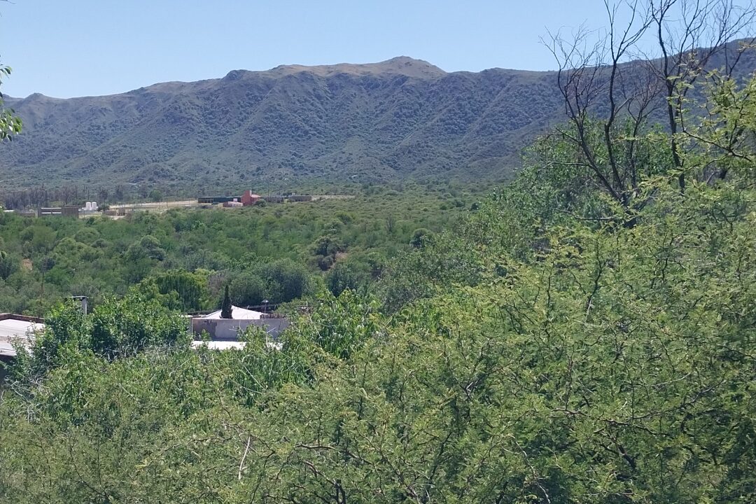 IMG_20251125_10543136