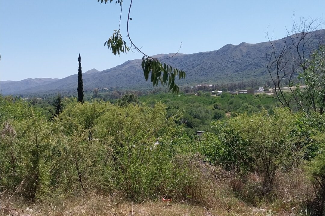 IMG_20251125_10551184